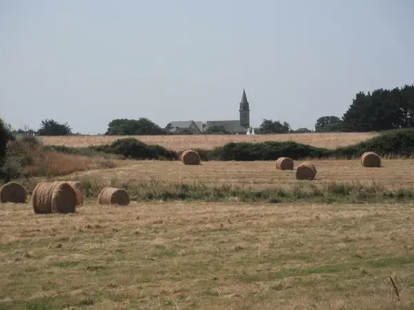 Monte Escalier 56 Installateur Monte Escalier Bangor
