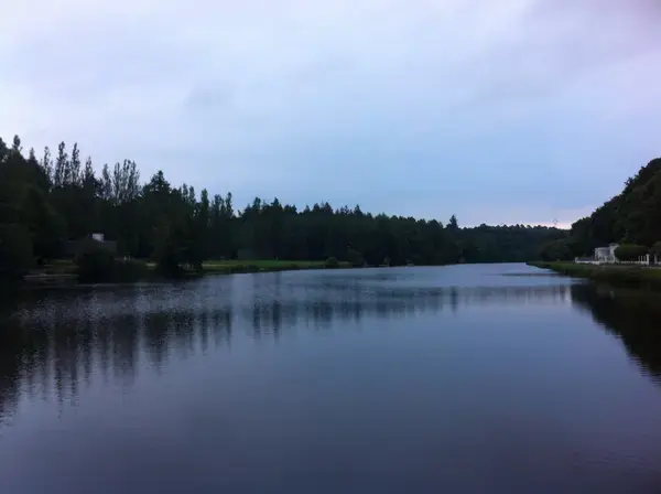Monte Escalier 56 Installateur Monte Escalier Inzinzac-Lochrist