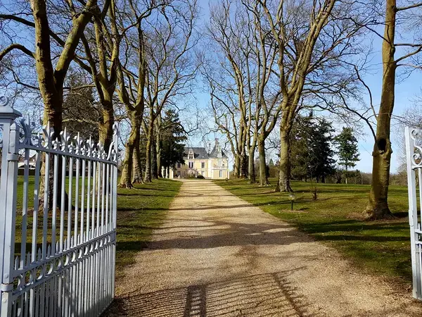 Monte Escalier 56 Installateur Monte Escalier Les Forges