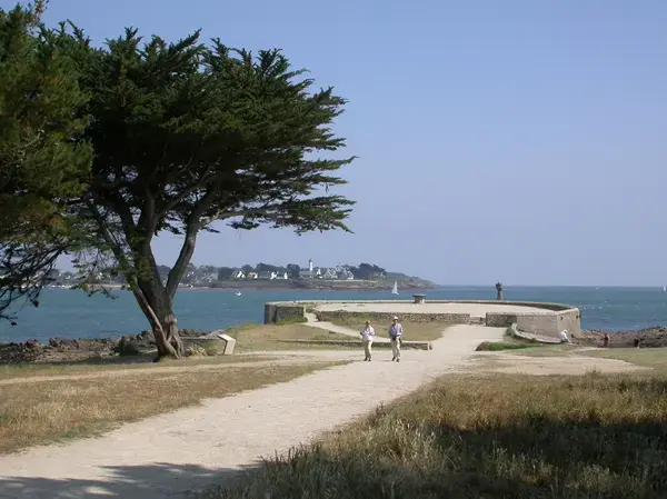 Monte Escalier 56 Installateur Monte Escalier Locmariaquer