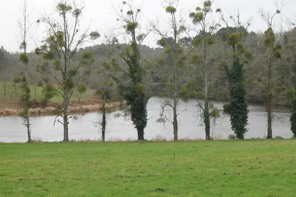Monte Escalier 56 Installateur Monte Escalier Muzillac